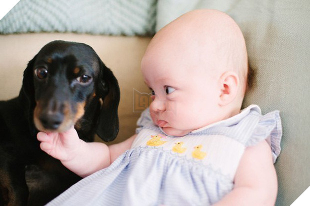 20 khoảnh khắc thân nhưng thân ai người ấy lo giữa trẻ con và các boss - Ảnh 20.