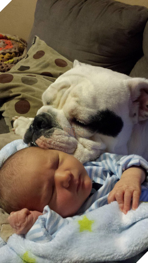 20 khoảnh khắc thân nhưng thân ai người ấy lo giữa trẻ con và các boss - Ảnh 26.