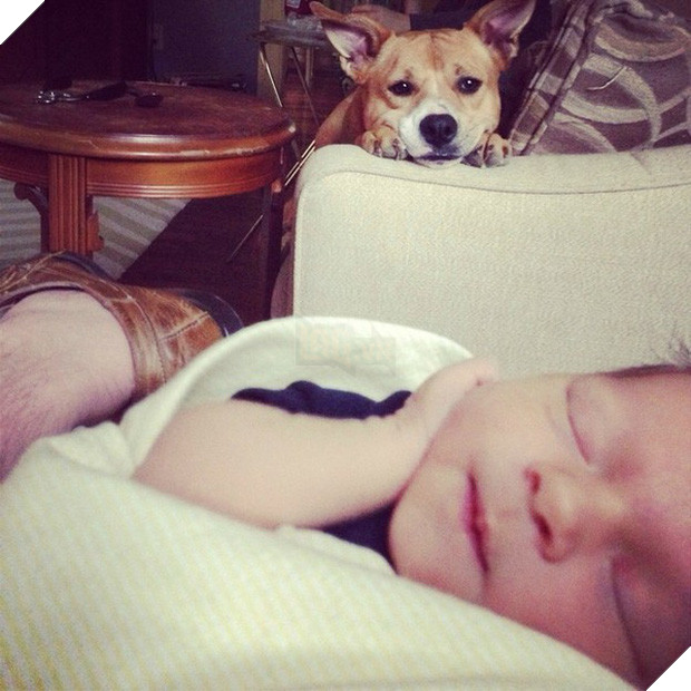 20 khoảnh khắc thân nhưng thân ai người ấy lo giữa trẻ con và các boss - Ảnh 40.