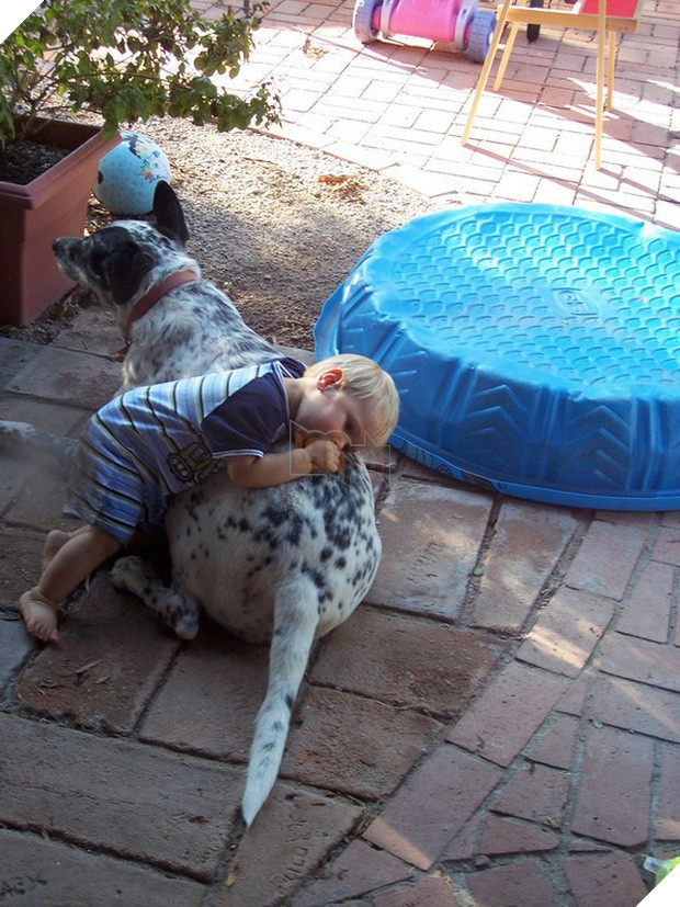 20 khoảnh khắc thân nhưng thân ai người ấy lo giữa trẻ con và các boss - Ảnh 7.