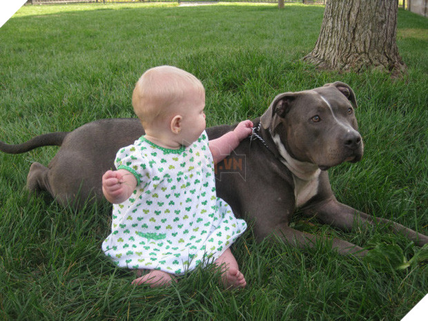 20 khoảnh khắc thân nhưng thân ai người ấy lo giữa trẻ con và các boss - Ảnh 9.