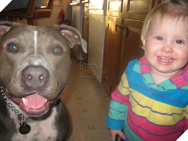 20 khoảnh khắc thân nhưng thân ai người ấy lo giữa trẻ con và các boss - Ảnh 10.