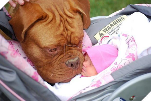 20 khoảnh khắc thân nhưng thân ai người ấy lo giữa trẻ con và các boss - Ảnh 16.