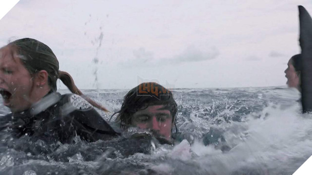 “Shark Terror” Khi người xem chỉ mong cá mập chiến thắng 3