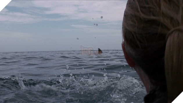 “Shark Terror” Khi người xem chỉ mong cá mập chiến thắng 5