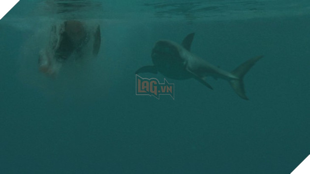 “Shark Terror” Khi người xem chỉ mong cá mập chiến thắng 6