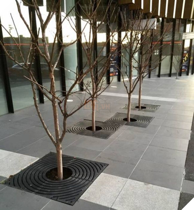 17 khoảnh khắc lệch lạc trong cuộc sống khiến bạn cảm thấy ngứa mắt - Ảnh 1.