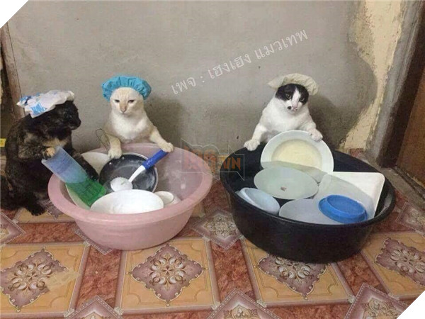 Đỡ không nổi trước cảnh các boss bị sen phạt phải làm việc nhà 14