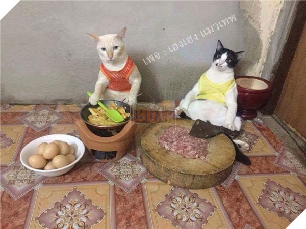 Đỡ không nổi trước cảnh các boss bị sen phạt phải làm việc nhà 2