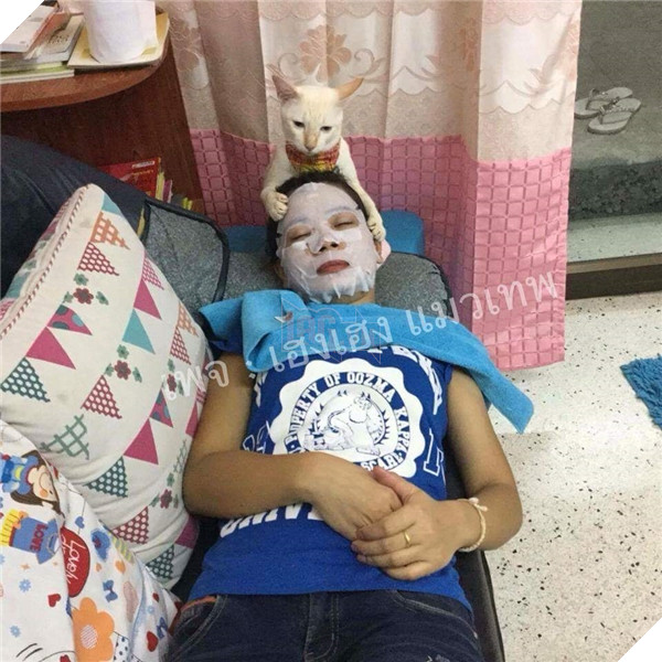 Đỡ không nổi trước cảnh các boss bị sen phạt phải làm việc nhà 10