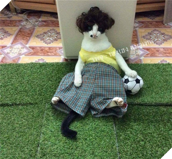 Đỡ không nổi trước cảnh các boss bị sen phạt phải làm việc nhà 15