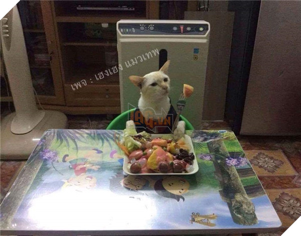 Đỡ không nổi trước cảnh các boss bị sen phạt phải làm việc nhà 16