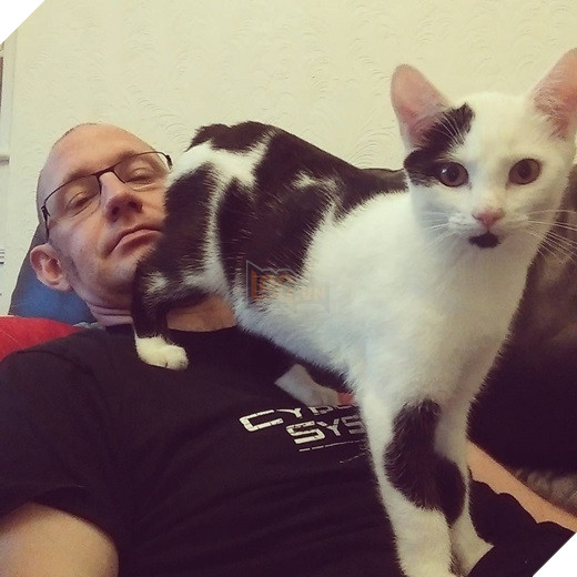 23 “nỗi niềm thầm kín” chỉ hội yêu mèo mới hiểu 4