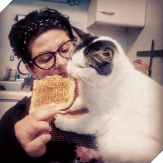 23 “nỗi niềm thầm kín” chỉ hội yêu mèo mới hiểu 9