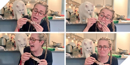 23 “nỗi niềm thầm kín” chỉ hội yêu mèo mới hiểu 8