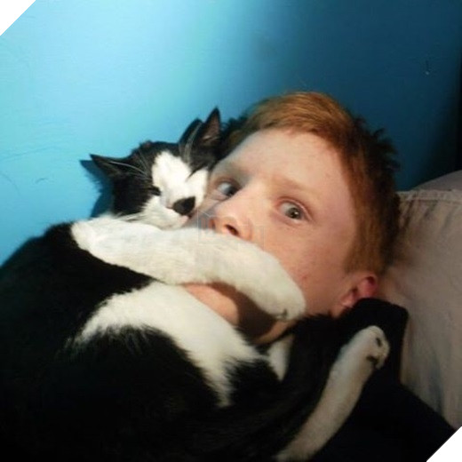 23 “nỗi niềm thầm kín” chỉ hội yêu mèo mới hiểu 15