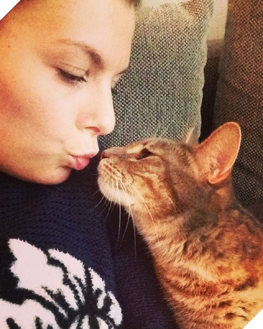 23 “nỗi niềm thầm kín” chỉ hội yêu mèo mới hiểu 23