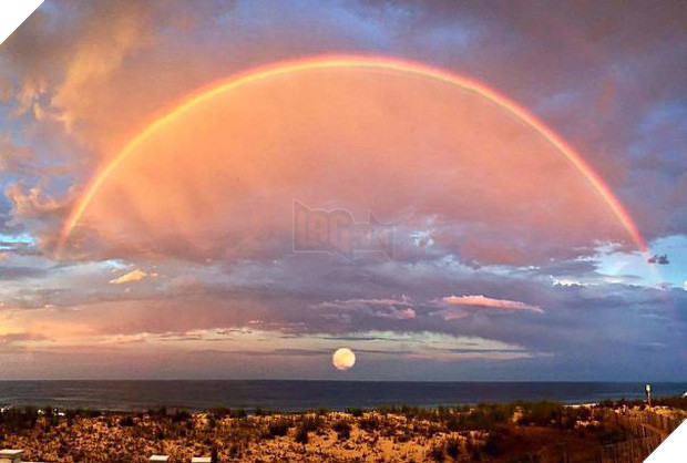 15 khoảnh khắc trùng hợp chứng tỏ Trái Đất thật rộng lớn nên gặp được nhau ắt là duyên - Ảnh 26.