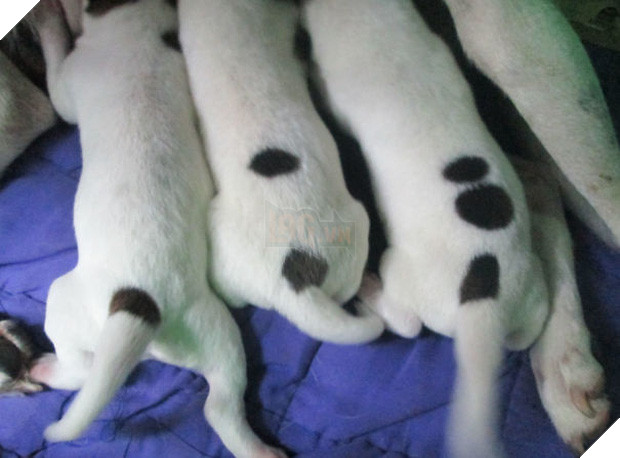 15 khoảnh khắc trùng hợp chứng tỏ Trái Đất thật rộng lớn nên gặp được nhau ắt là duyên - Ảnh 24.