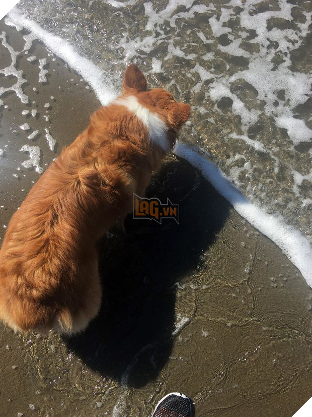 15 khoảnh khắc trùng hợp chứng tỏ Trái Đất thật rộng lớn nên gặp được nhau ắt là duyên - Ảnh 22.