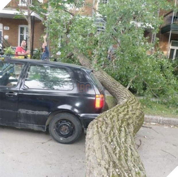 15 khoảnh khắc trùng hợp chứng tỏ Trái Đất thật rộng lớn nên gặp được nhau ắt là duyên - Ảnh 7.