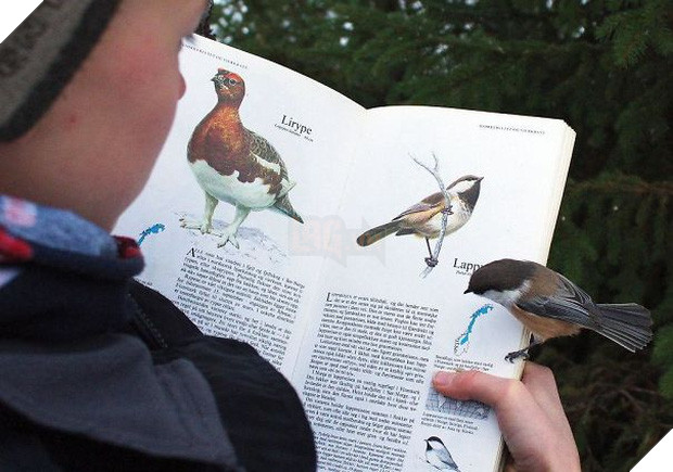 15 khoảnh khắc trùng hợp chứng tỏ Trái Đất thật rộng lớn nên gặp được nhau ắt là duyên - Ảnh 1.