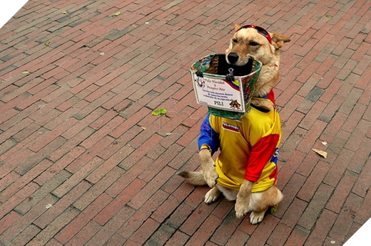 Tổng hợp hình ảnh hài hước của các boss dùng “thân” kiếm tiền nuôi xác 7