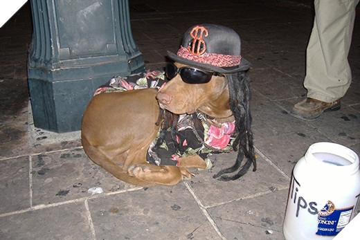 Tổng hợp hình ảnh hài hước của các boss dùng “thân” kiếm tiền nuôi xác 9