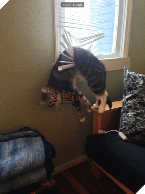 Mèo cưng biết cậu chủ nhỏ bị sốt rất khó chịu nên làm hành động này, cha mẹ bé liền chớp cơ hội chụp ngay 8