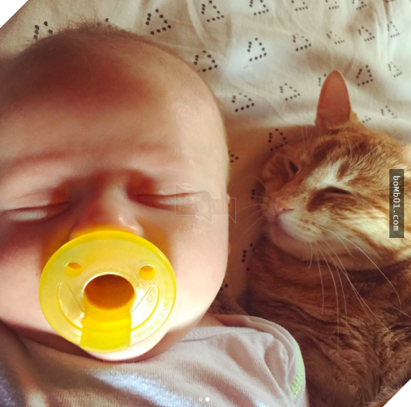 Mèo cưng biết cậu chủ nhỏ bị sốt rất khó chịu nên làm hành động này, cha mẹ bé liền chớp cơ hội chụp ngay