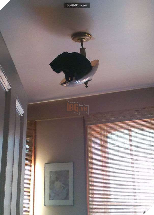 Mèo cưng biết cậu chủ nhỏ bị sốt rất khó chịu nên làm hành động này, cha mẹ bé liền chớp cơ hội chụp ngay 26