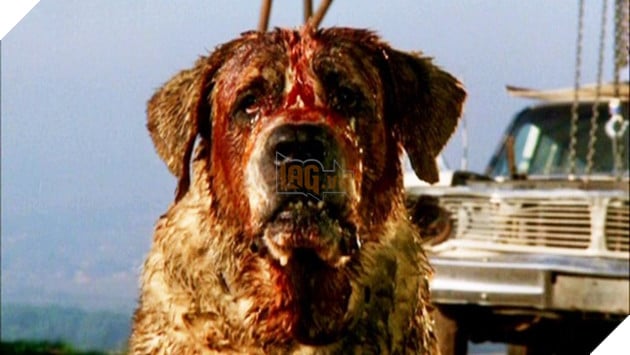 cujobanner  Những quái vật kinh dị không kém It trong thế giới của Stephen King cujobanner