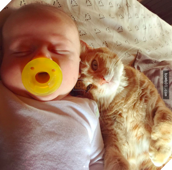 Mèo cưng biết cậu chủ nhỏ bị sốt rất khó chịu nên làm hành động này, cha mẹ bé liền chớp cơ hội chụp ngay 2