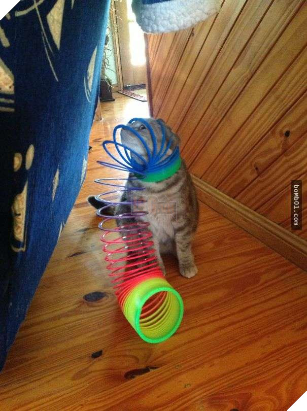 Mèo cưng biết cậu chủ nhỏ bị sốt rất khó chịu nên làm hành động này, cha mẹ bé liền chớp cơ hội chụp ngay 19