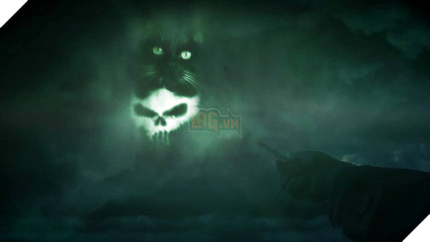 Chú mèo đầu lâu bị các thánh chế ảnh rảnh việc lôi lên thớt làm thịt - Ảnh 4.