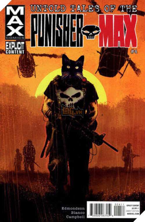 Chú mèo đầu lâu bị các thánh chế ảnh rảnh việc lôi lên thớt làm thịt - Ảnh 10.