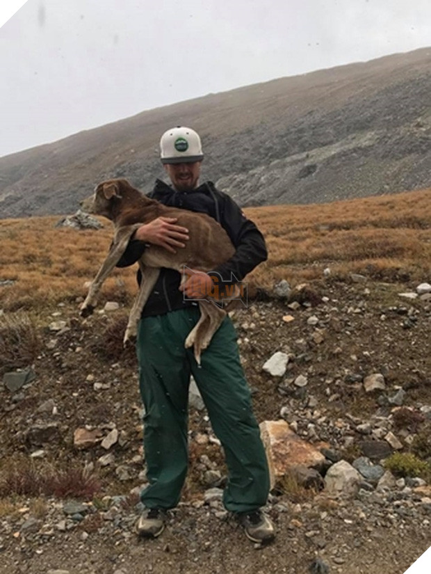  Nghe lời đồn về tiếng chó sủa như khóc suốt đêm, cô gái quyết đi tìm và phát hiện sự thật - Ảnh 2.