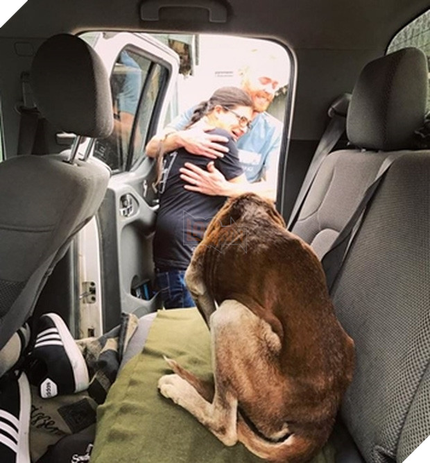  Nghe lời đồn về tiếng chó sủa như khóc suốt đêm, cô gái quyết đi tìm và phát hiện sự thật - Ảnh 3.