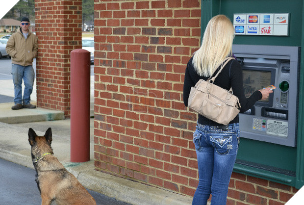 Những chú chó vào vai bảo kê máu mặt tại các cây ATM vào ban đêm - Ảnh 19.