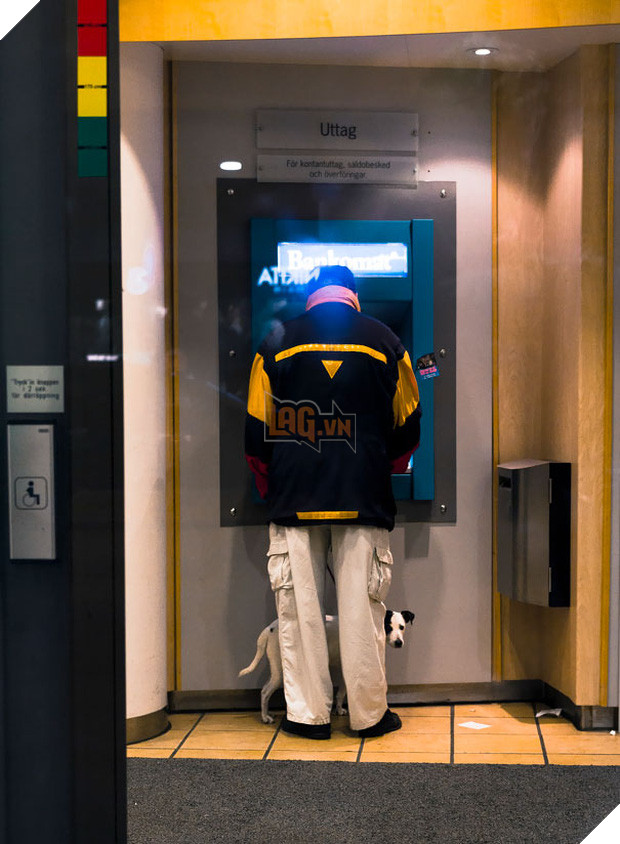 Những chú chó vào vai bảo kê máu mặt tại các cây ATM vào ban đêm - Ảnh 13.
