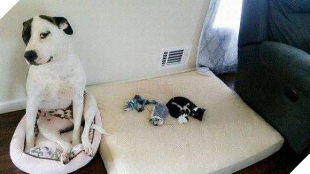 15 thánh nhọ tiễn mãi mà tháng cô hồn vẫn lưu luyến không chịu đi - Ảnh 17.