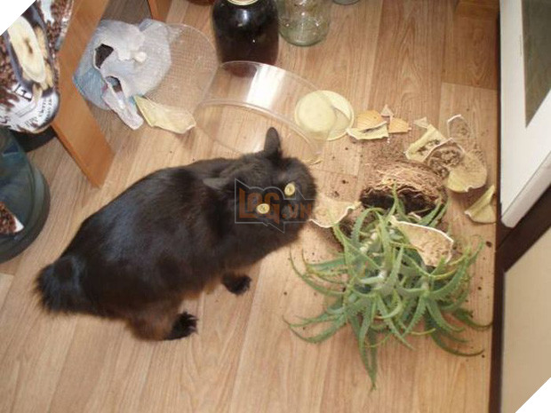 15 thánh nhọ tiễn mãi mà tháng cô hồn vẫn lưu luyến không chịu đi - Ảnh 25.