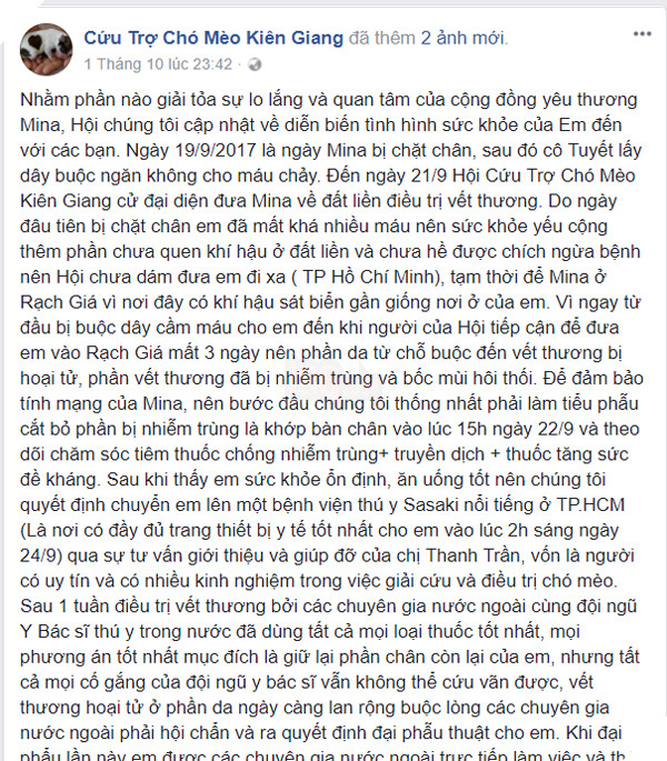 Chú chó bị chặt chân được Hội cứu trợ chó mèo ứng cứu, phải tháo khớp bả vai vì vết thương bị hoại tử nặng