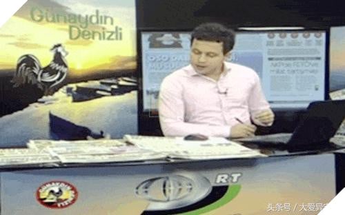 Mèo hoang đi lạc vào Đài truyền hình, náo loạn 1 hồi rồi lăn ra ngủ, hình ảnh siêu đáng yêu khiến người xem phì cười