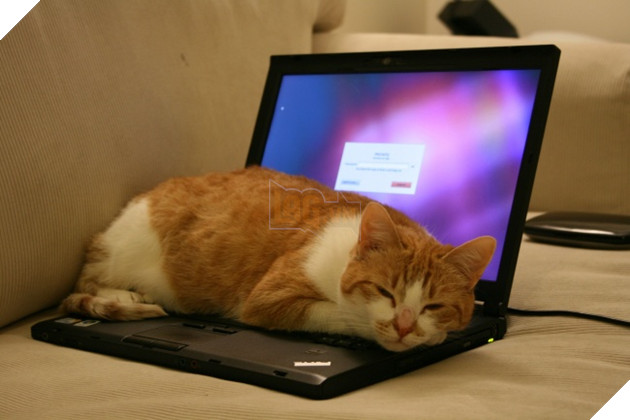 12 việc bạn thường làm khiến laptop bị tàn phá một cách nhanh chóng - Ảnh 1.