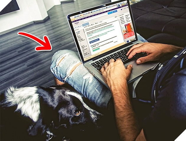 12 việc bạn thường làm khiến laptop bị tàn phá một cách nhanh chóng - Ảnh 6.