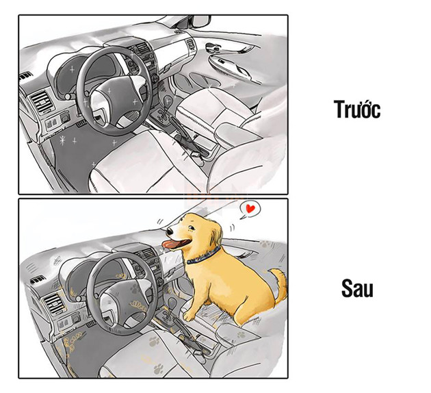 10 cảnh chân thật trước và sau khi nuôi thú cưng, nhiều người xem xong không khỏi ‘khóc ròng’ 14