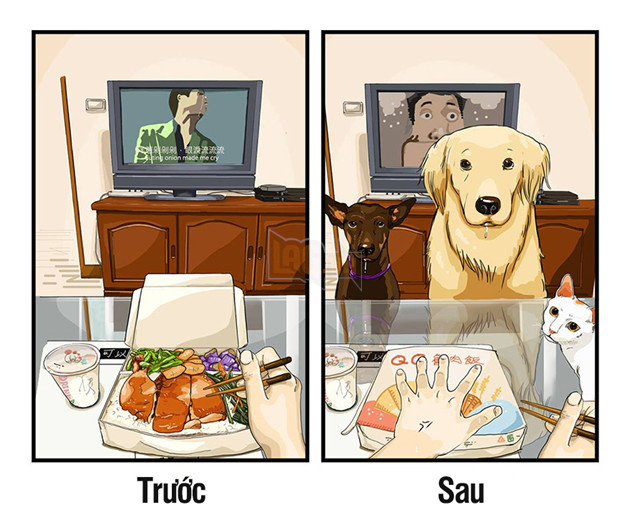 10 cảnh chân thật trước và sau khi nuôi thú cưng, nhiều người xem xong không khỏi ‘khóc ròng’ 6