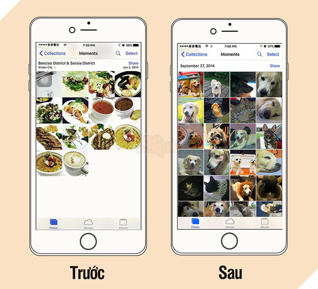 10 cảnh chân thật trước và sau khi nuôi thú cưng, nhiều người xem xong không khỏi ‘khóc ròng’ 8