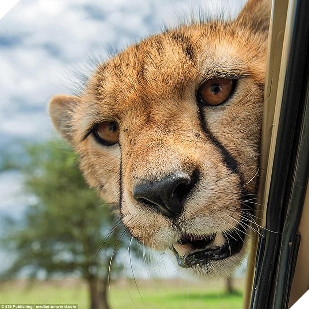 Những khoảnh khắc làm trò hài hước của các danh hài động vật - Ảnh 5.